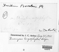 Image Associated With the Occurence